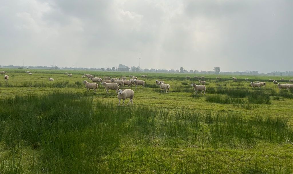 2024 ZEER GUNSTIG JAAR VOOR LEVERBOT