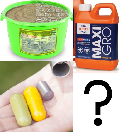 EEN BOLUS, EMMER OF DRENCH, WAT IS HET ADVIES?