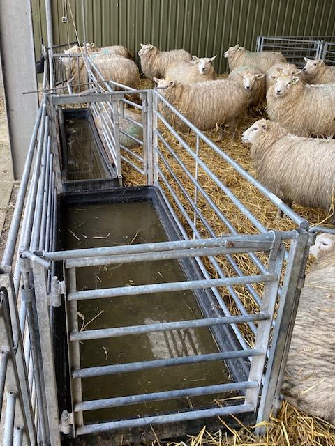 Voorbeeld van twee voetbaden achter elkaar 