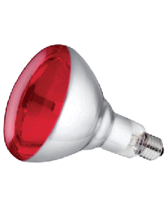 Lamp  250 Watt infrarood, rood, hard glas