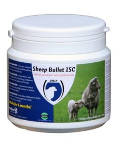 Sheep bullet ISC 20 st