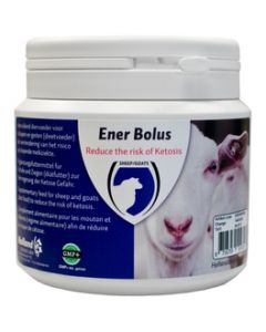 Ener Bolus (24st)