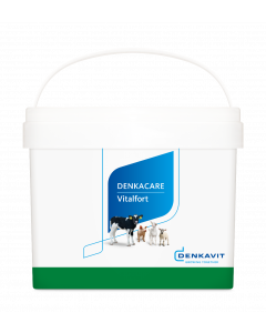 Vitalfort 5 kg