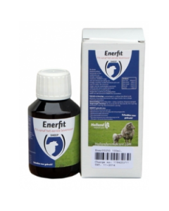 Enerfit lam 100 ml