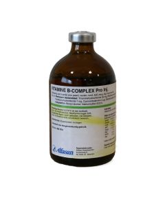 Vitamine B complex pro inj. 100 ml