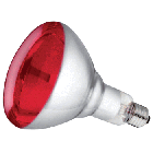 Lamp  250 Watt infrarood, rood, hard glas